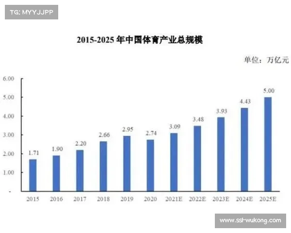 中国品牌崛起羽毛球市场高端线价格上涨20%引发行业关注 中国品牌崛起羽毛球市场高端线价格上涨20%引发行业关注